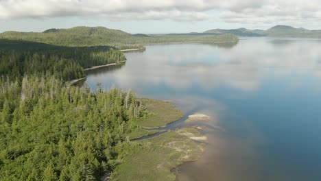 sandy beach on the lake with green trees-4