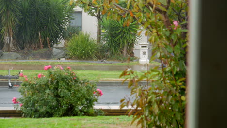hombre caminando en una calle suburbana bajo una fuerte lluvia con un paraguas rojo y un impermeable gris