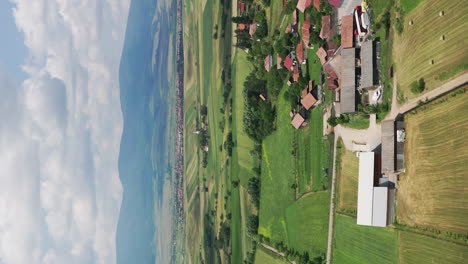 video aéreo en formato vertical volando sobre campos verdes cerca de delnita, rumania