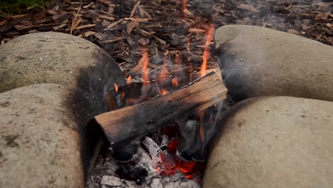 revelar la toma inclinada de la quema de madera picada en una fogata humeante caliente al aire libre en el bosque