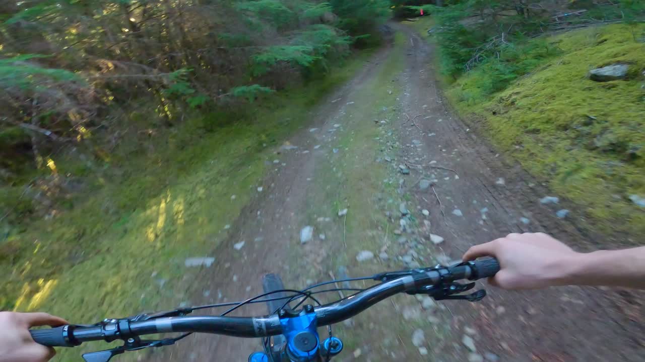 소나무 숲 사이의 오솔길에서 내리막 산악 자전거를 타는 남자의 관점 샷