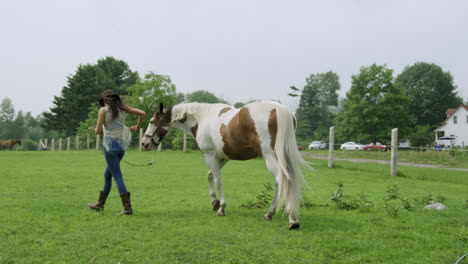 Vaquera-Entrenada-Camina-Con-Confianza-Su-Caballo-Pinto-Macho-Adulto-A-Través-De-Un-Campo