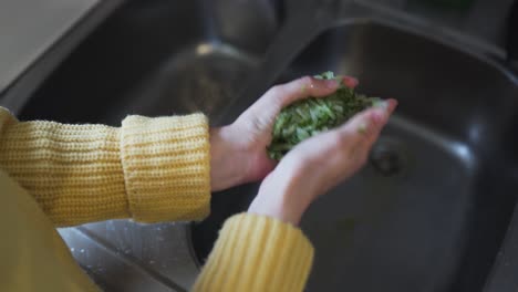 Nahaufnahme-Von-Zwei-Weiblichen-Händen,-Die-Eine-Geriebene-Gurke-Halten-Und-Das-Wasser-Aus-Der-Gurke-Drücken,-Um-Tzatziki-Herzustellen