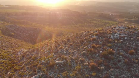 campo durante un viaje por carretera al atardecer
