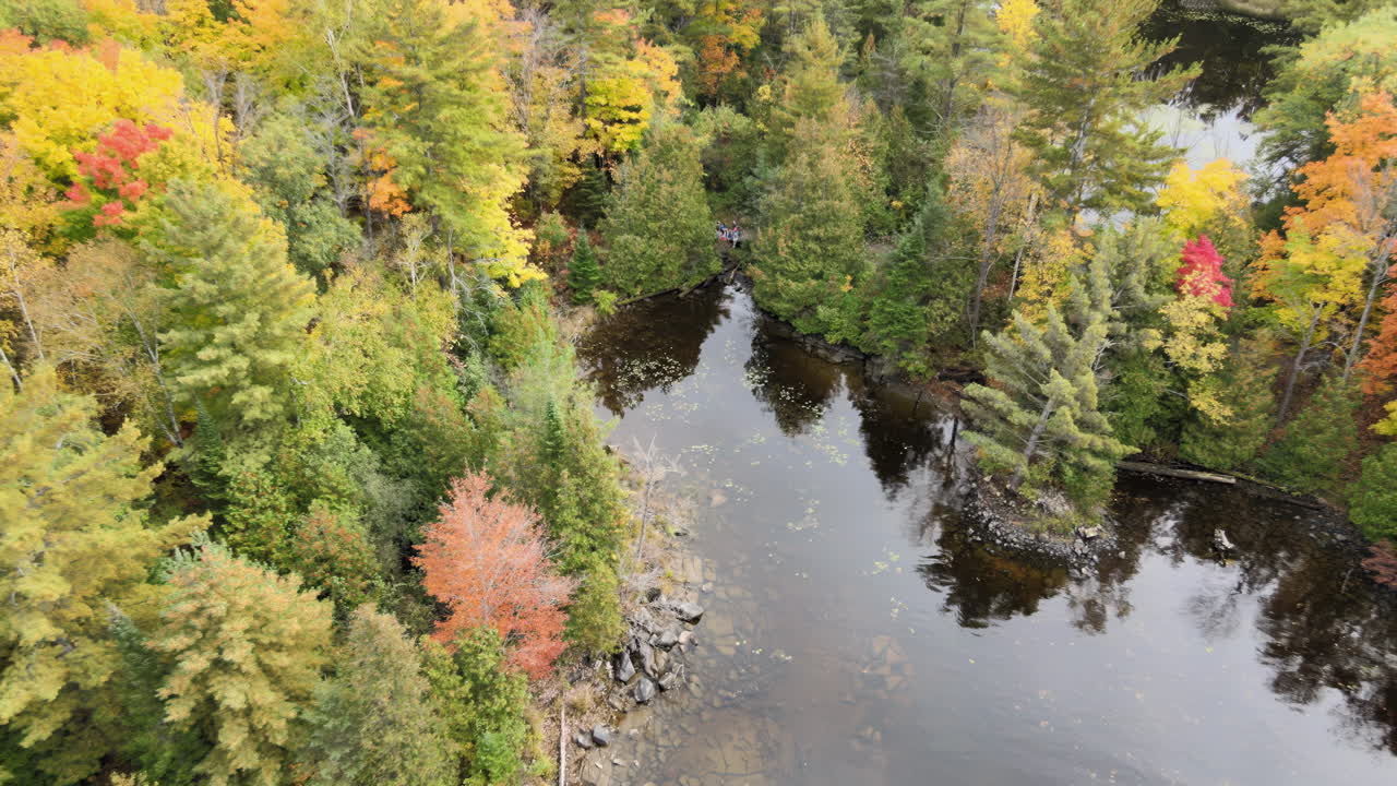 An aerial view of colorful trees and calm water