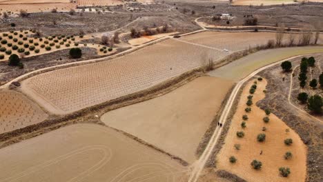 mosaic of fields in spain