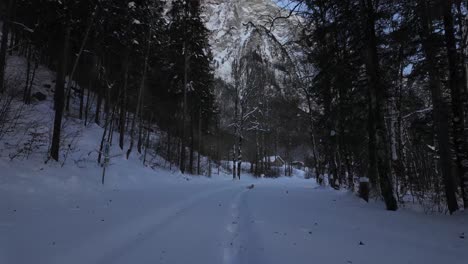 forest path snow covered winter outdoor rural swiss alpine switzerland frozen tree