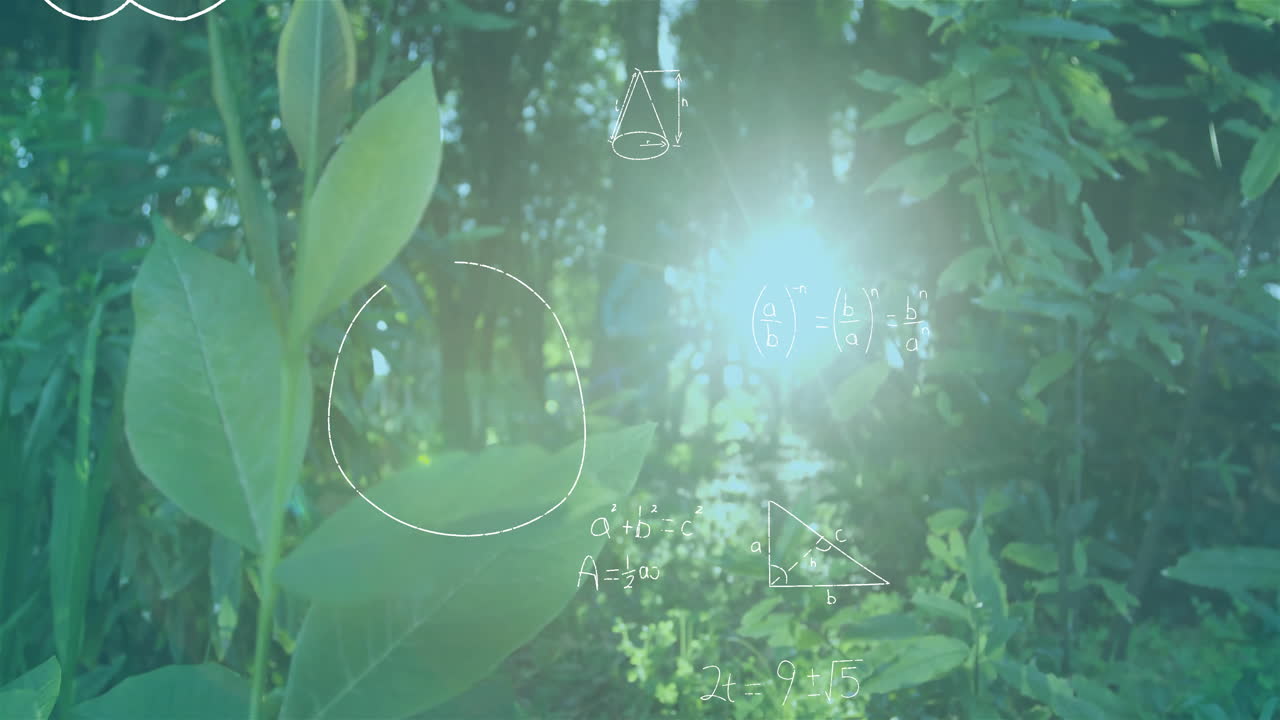 Animated illustration showing leaves swaying in sunlight while math formulas floating across forest