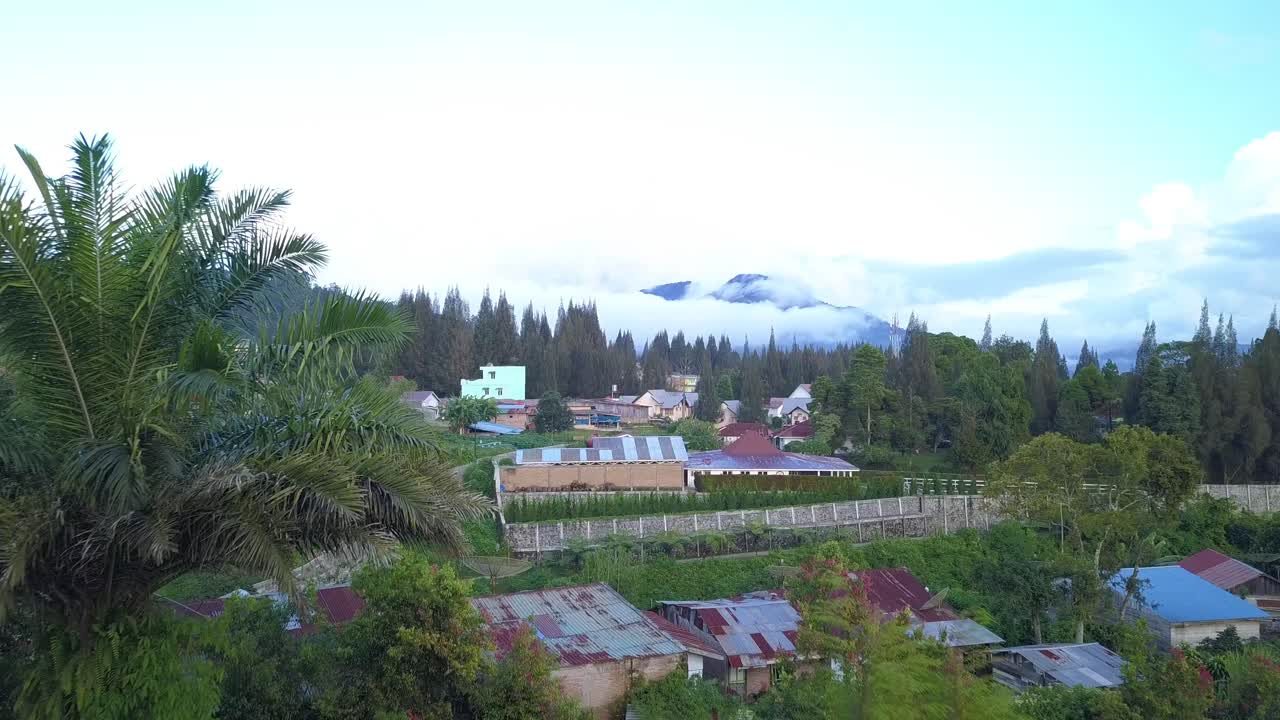 Drone shot aerial forward fly through between green trees branches toward the houses and mountains in the suburb.