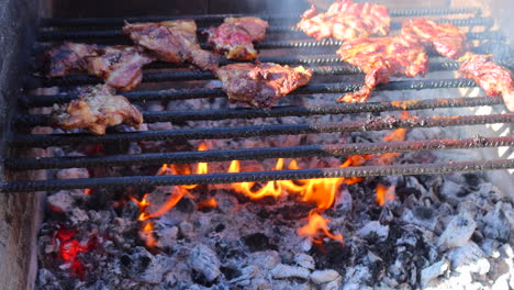 cooking delicious bbq meats on an outdoor fire grill with coal, grilling in a park, 4k shot