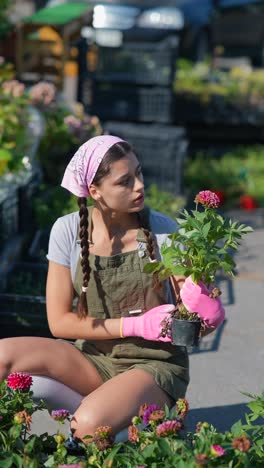 woman gardening with dahlias