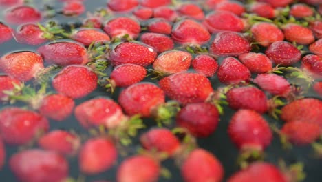 strawberry float in water red fresh natural organic seasonal fruit close up