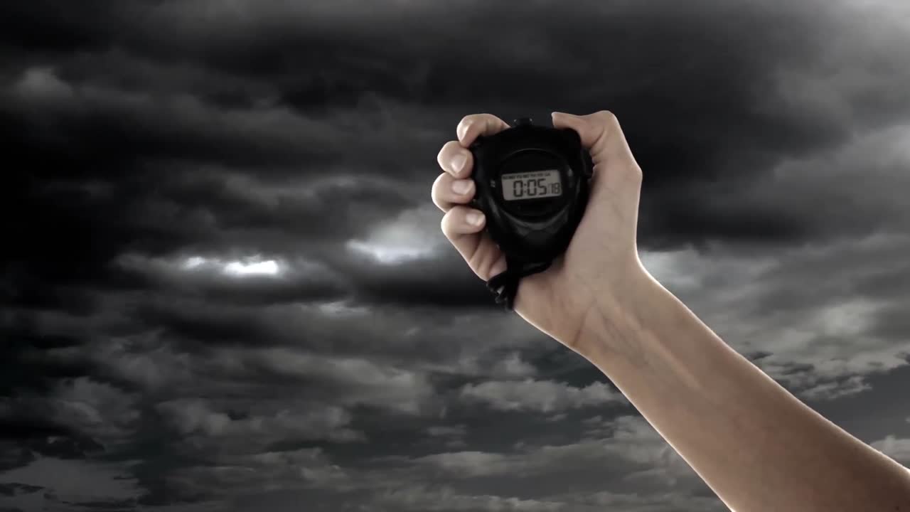 손에 들고 있는 스 ⁇ 시