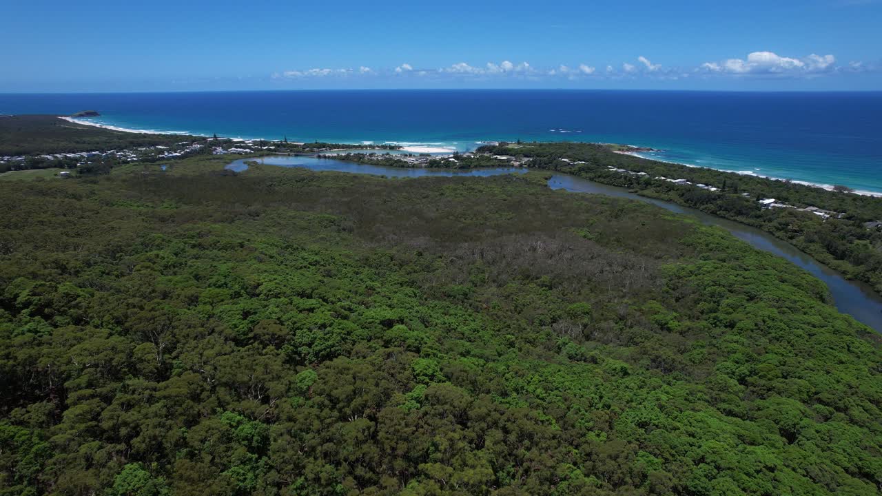 Foreste sempreverdi di Cudgera Creek a Hastings Point sulla costa di Tweed, NSW, Australia. Ripresa aerea con allontanamento.