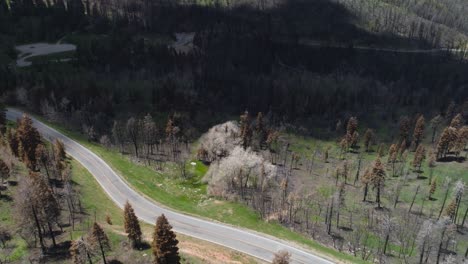 Panorámica-Aérea-Sobre-Un-Bucle-De-Horquilla-En-Un-Bosque-Quemado-En-Nebo,-Utah