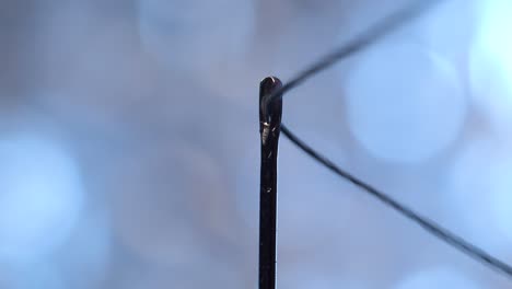 macro extrema de una aguja que se enhebra con precisión perfecta