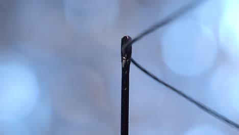 extreme macro of a needle being threaded with perfect precision