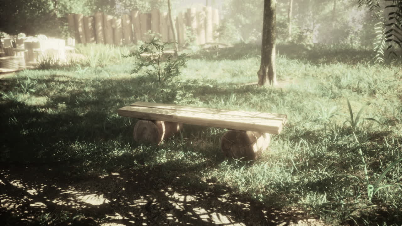Wooden bench sits quietly in the sunlit clearing surrounded by trees