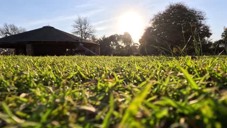 sunlight over grass near a building