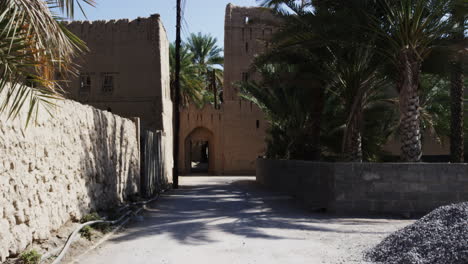 town next to ruins of birkat al mouz, berqut al moz, in oman, wide shot