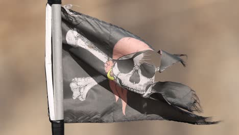 jolly roger flag flutters in a strong breeze