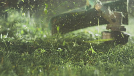 cortadora de césped para cortar césped