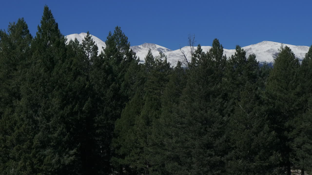 drones aéreos cinematográficos revelan zoom en la primera nieve en el monte cielo azul evans 14er pico principios de otoño otoño hermoso pájaro azul mañana clara amanecer día colorado montañas rocosas hacia adelante pan up movimiento