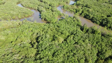 Vista-Aérea-Del-Río-Tibagi-En-El-Estado-De-Paraná,-Brasil