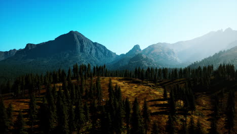 Rocky-mountain-range-with-trees