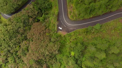 Camino-Forestal-En-Le-Chamarel-4k