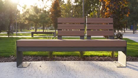 modern wooden benches on the lawn in the park. stylish new bench in city recreation area on sunrise or sunset. urbanism theme public space landscape design. no people on empty street sidewalk