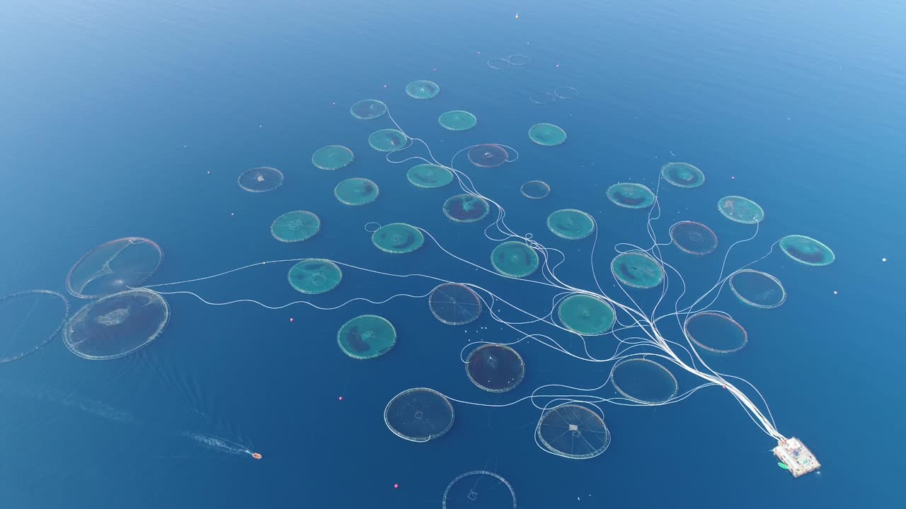 물고기 농장 - 케이지 물고기 양육의 공중 사진. 드론 촬영 4k.