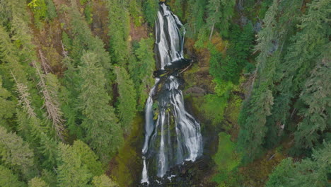 wide aerial view of entire falls creek waterfall in pristine gifford pinchot national forest, washington state.