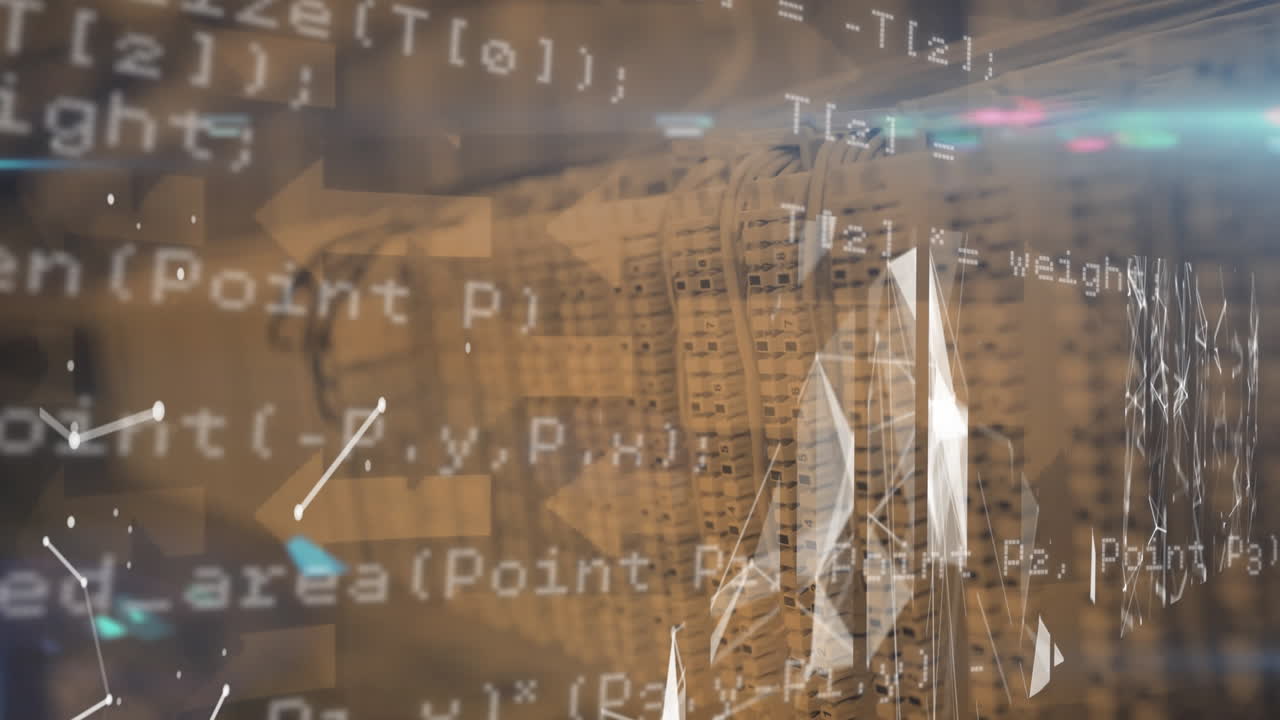 Animation of data processing with networks of connections over computer server