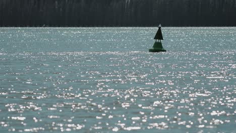 Static-close-up-shot-with-green-buoy-on-a-big-river,-sunny-clear-day