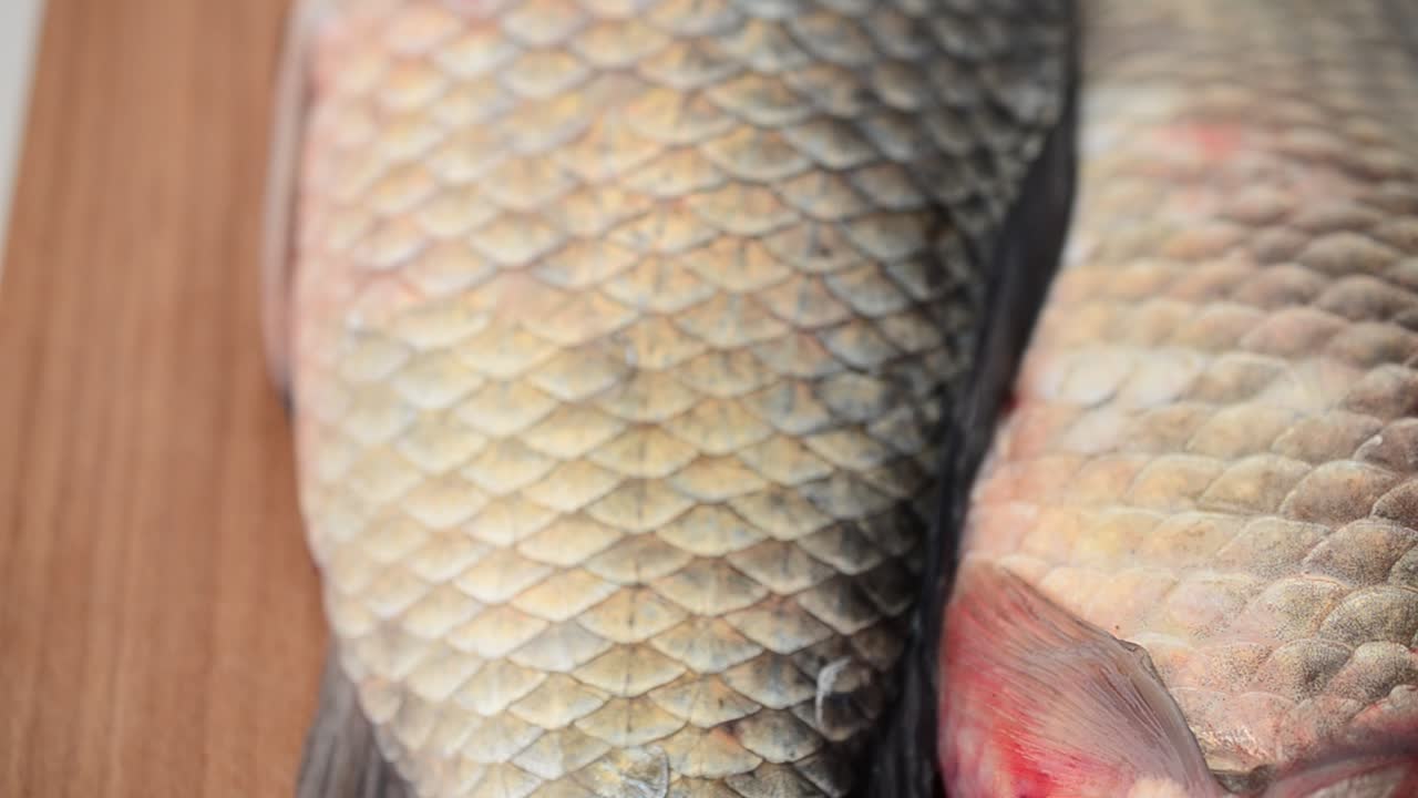Carassi su un tagliere. Pesce fresco.
