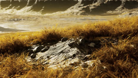 dry-grass-fields-and-mountains-in-Nepal