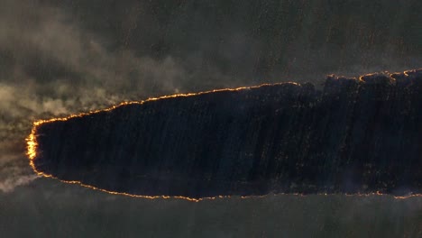 aerial view of a wildfire