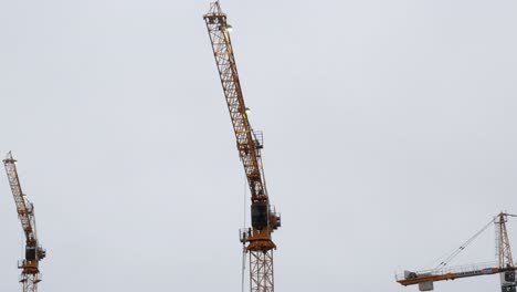 Wide-Shot-of-Cranes-in-Action