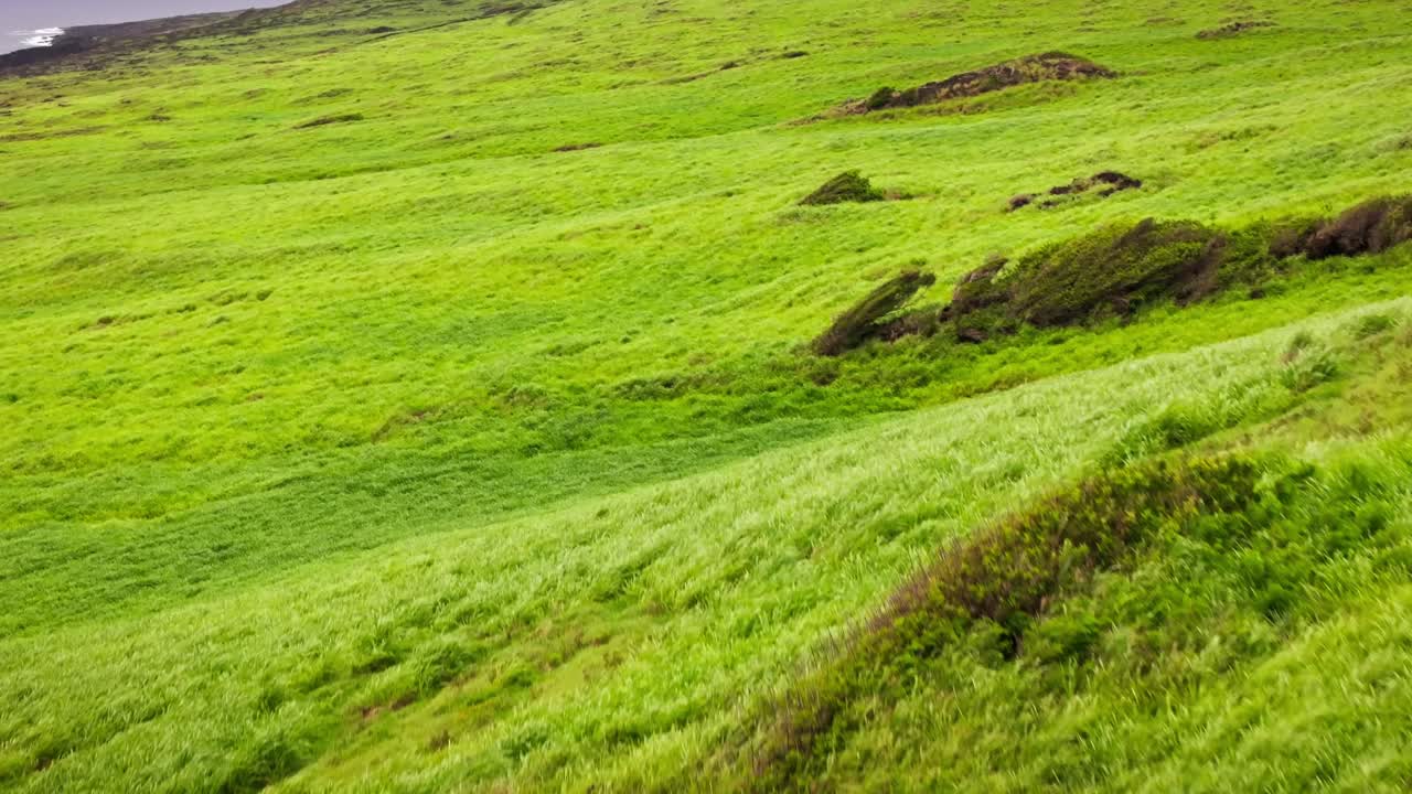 Tampilan udara yang diperbesar dari drone yang memperlihatkan bukit hijau yang ditutupi rumput yang terbentuk dari aliran lava atau magma purba dari gunung berapi Kilauea di Pulau Besar Hawaii saat ombak biru besar Samudra Pasifik menerjang