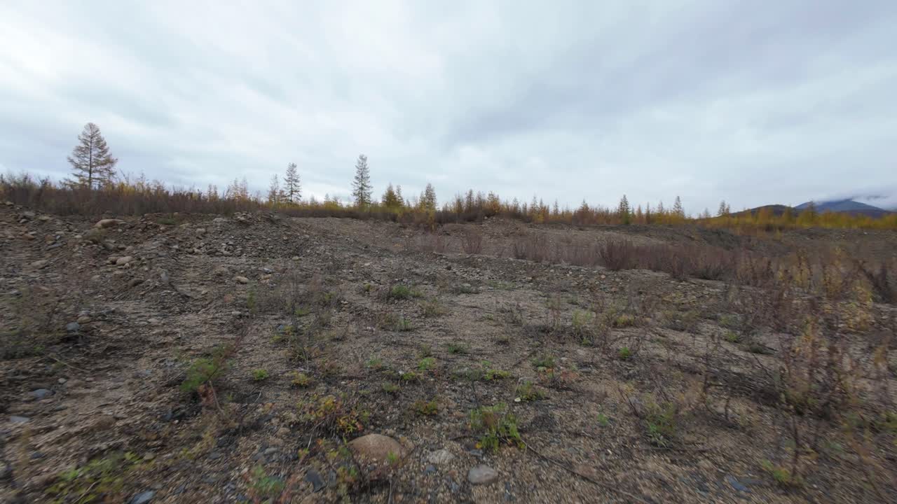 Experience the serene beauty of a captivating forest seen from above, showcasing a landscape filled with lush trees, vibrant colors, and distant mountains under an expansive sky.