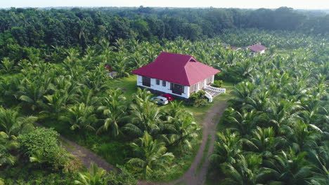 aerial orbit shot of a large beautiful farm house in the center of a coconut farm