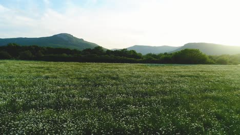 beautiful meadow with mountains in the background