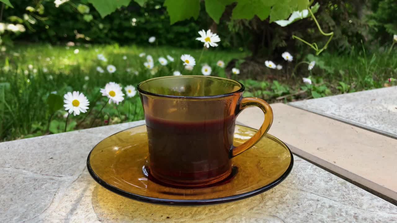 Morning Serbian Homemade Coffee Outdoors with Daisies Blooming Brightly