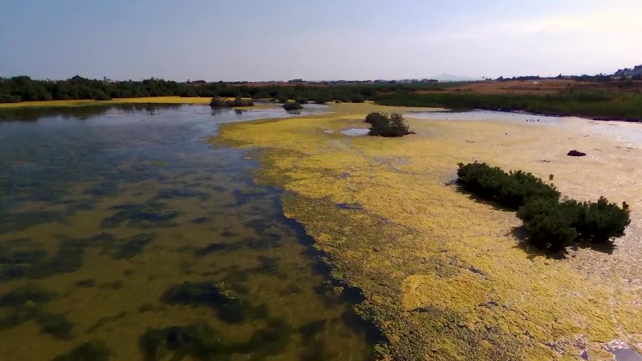 Ripresa con drone di un lago naturale eccezionale, favoloso paesaggio verde, Oroklini, Cipro