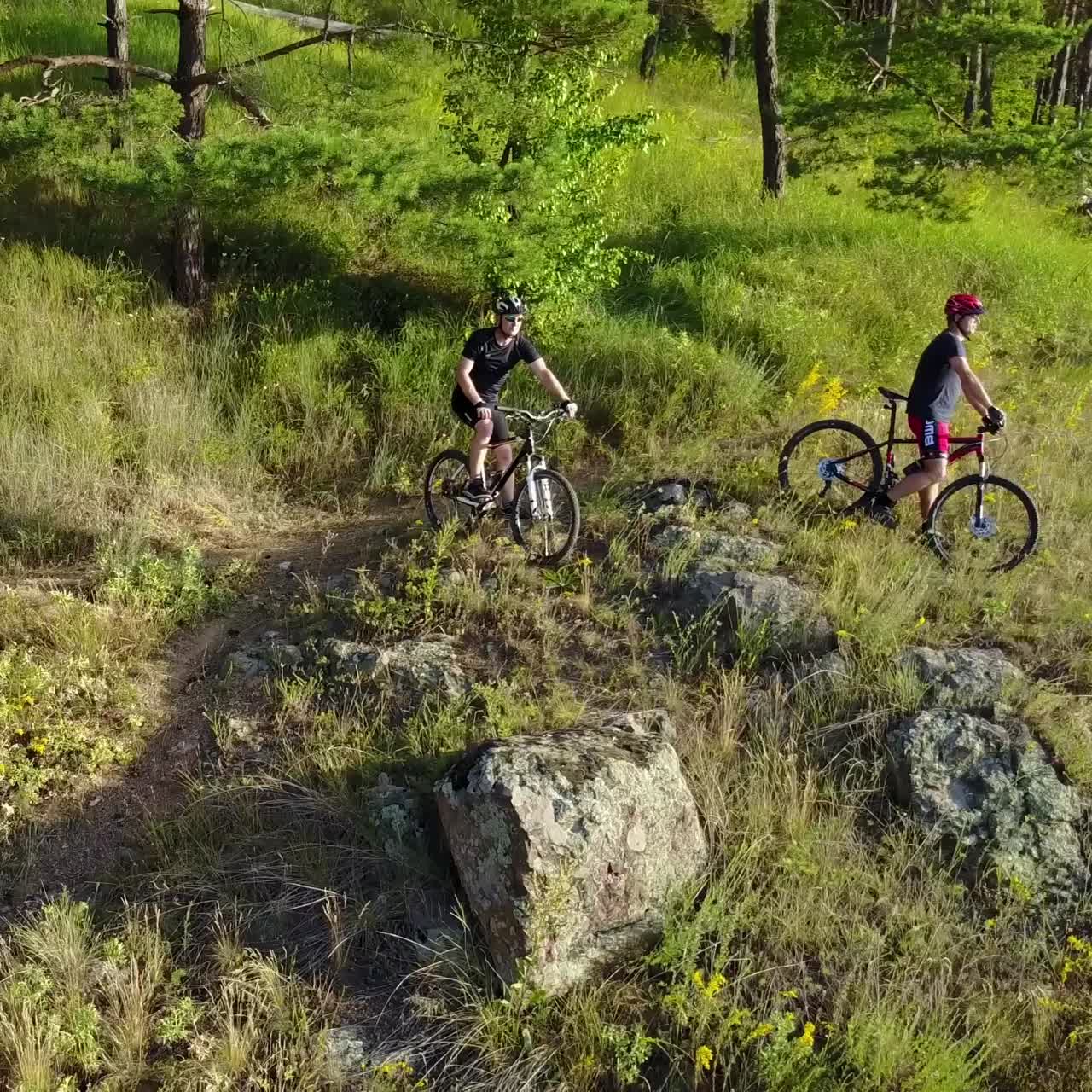 Men Riding Bicycle In Nature