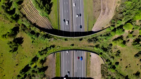 Von-Oben-Nach-Unten-Ist-Eine-Stetige-Luftaufnahme-Von-Autos-Und-öffentlichen-Verkehrsmitteln-Zu-Sehen,-Die-Von-Wildtieren-überquert-Werden,-Die-Die-Ecoduct-Brücke-überqueren,-Damit-Tiere-Zwischen-Schutzgebieten-Wandern-Können