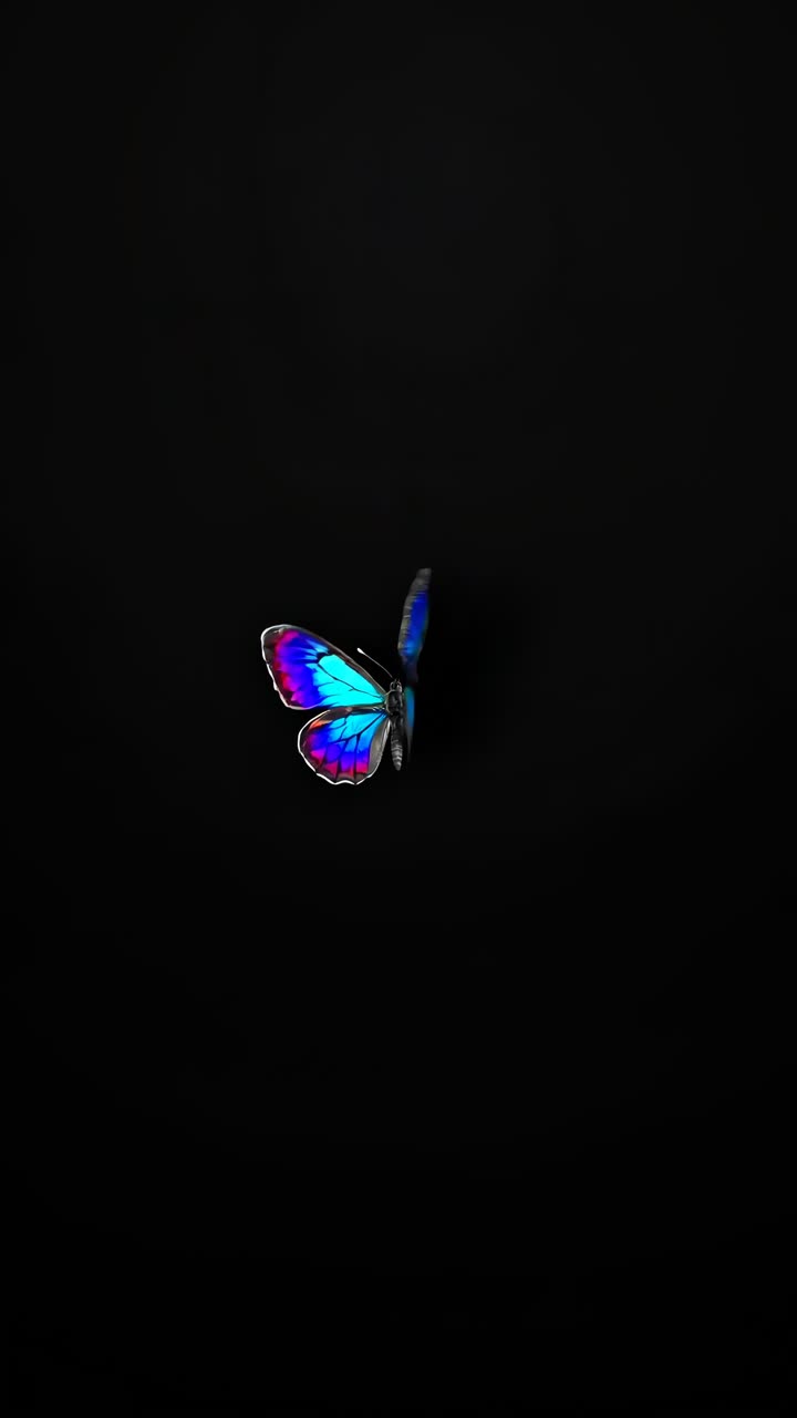 A vibrant butterfly with neon colors on a black background, captured from a top-down angle