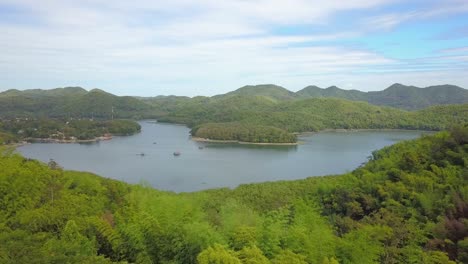 美麗的無人機飛行前進在風景美麗的陽光明<unk>的鄉村湖泊與島<unk>和森林