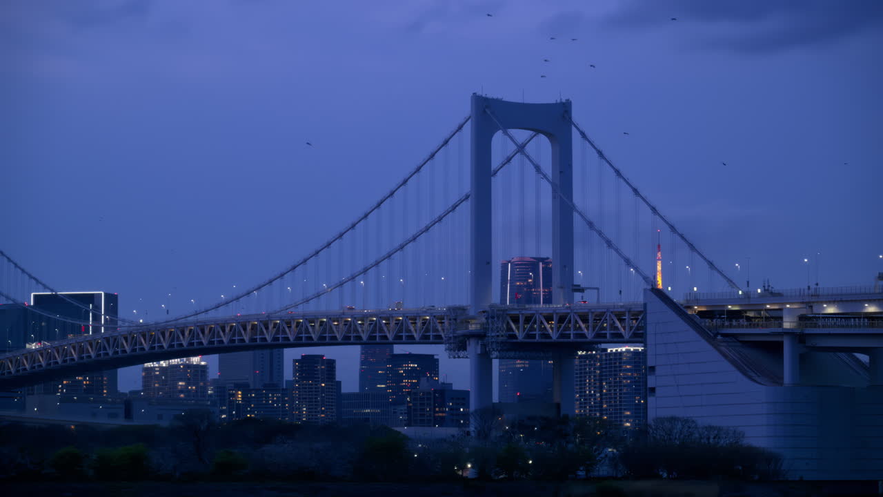 View of the Rainbow Bridge and the skyline of the Tokyo, Japan in the evening